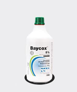 baycox5