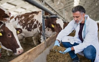 Productos veterinarios: los insumos esenciales que sostienen la salud y la rentabilidad en granja