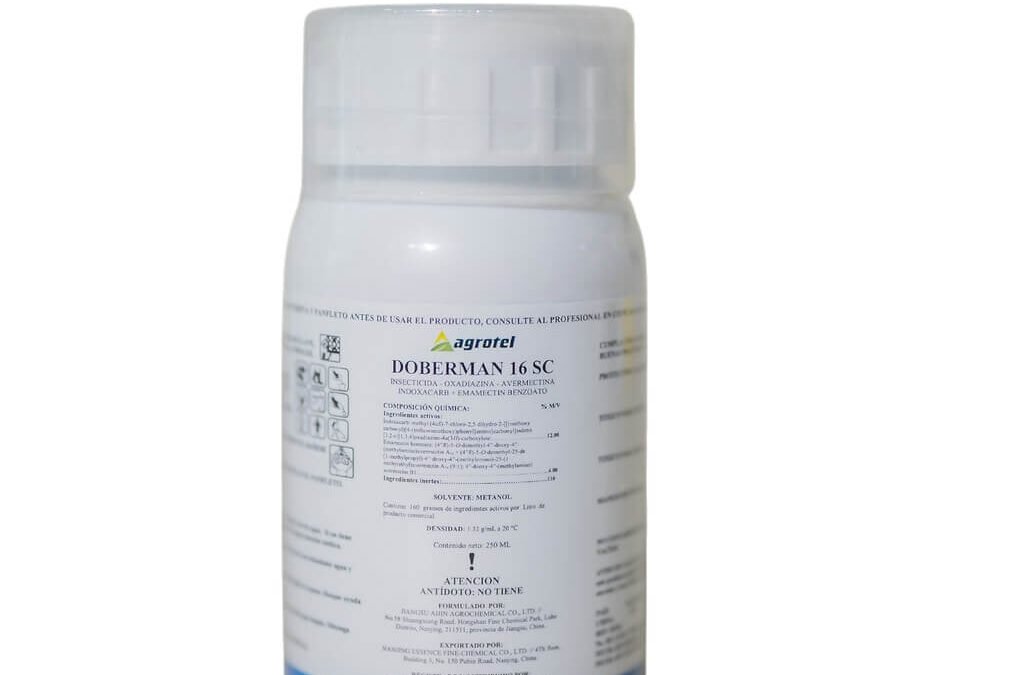 DOBERMAN 16 SC 250 ML