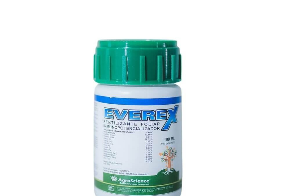 EVEREX 100 ML