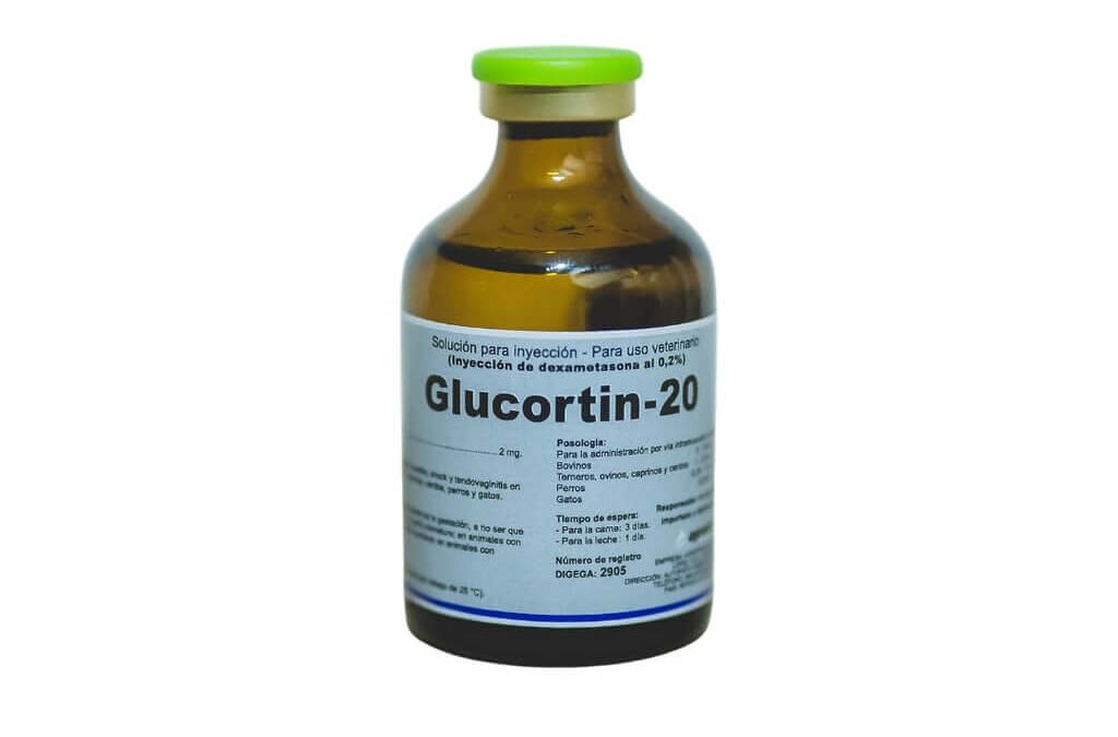 GLUCORTIN-20