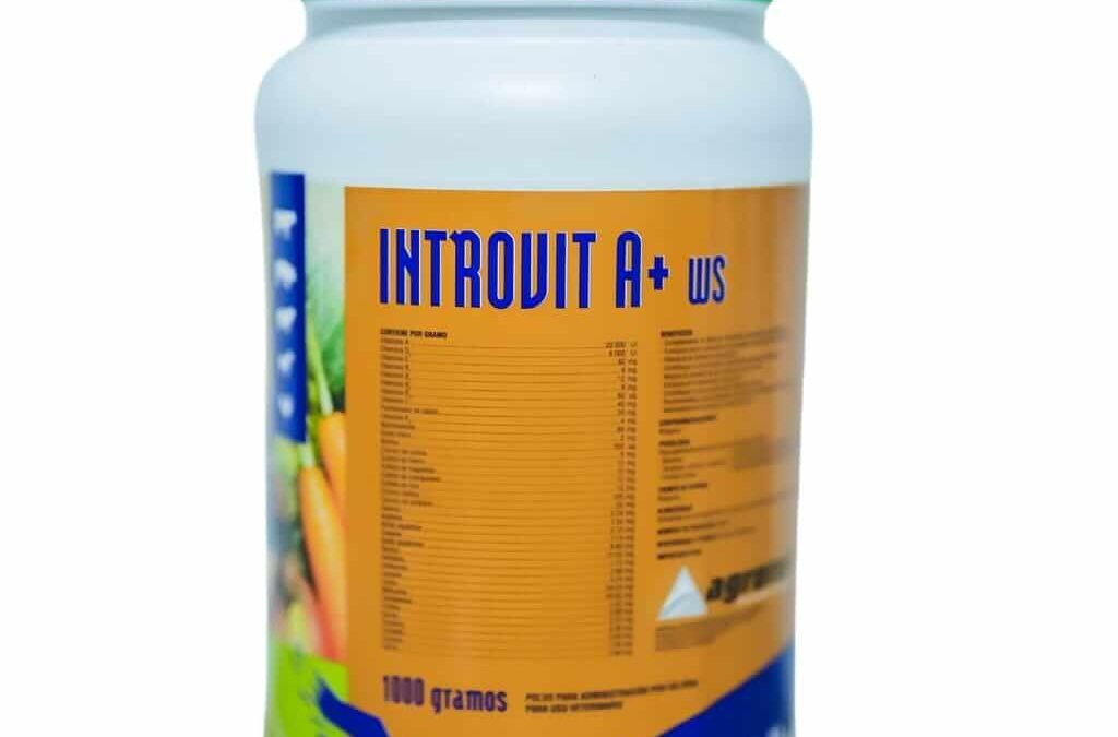 INTROVIT-A-WS-1KL