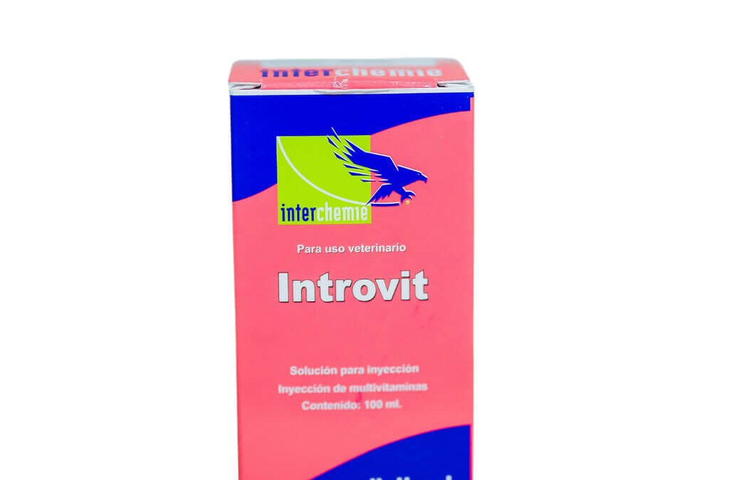 INTROVIT INYECTABLE 100ML