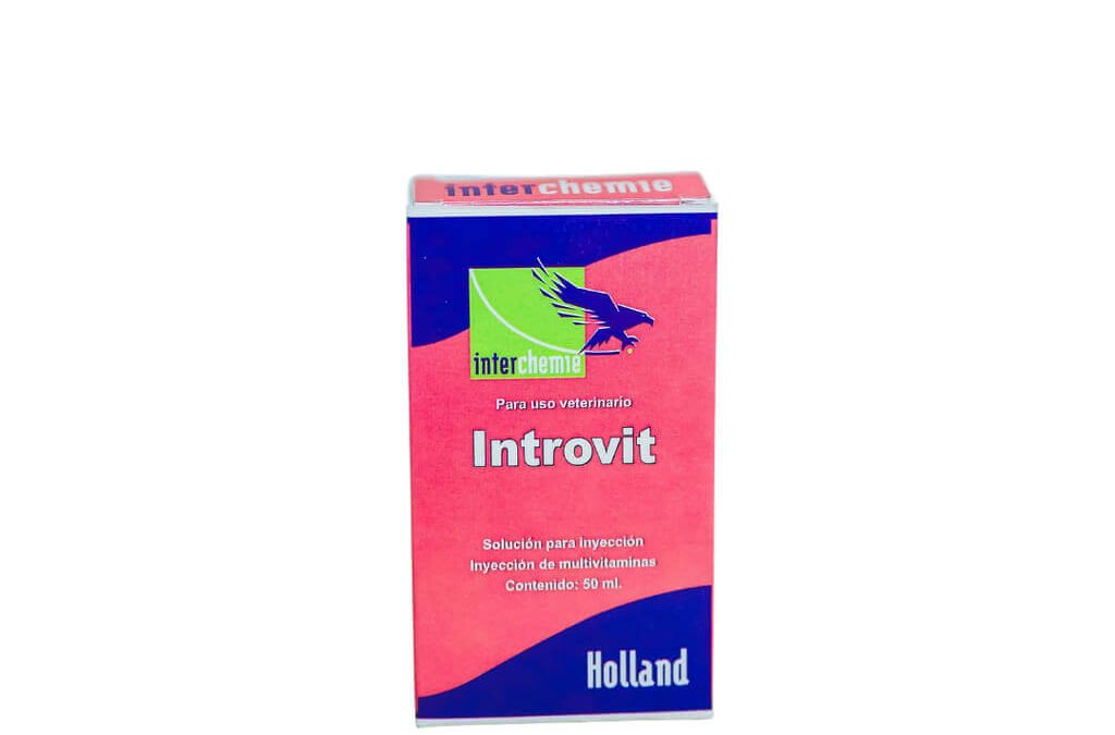 INTROVIT INYECTABLE 50ML