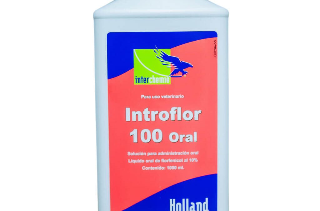 INTROFLOR 100 ORAL
