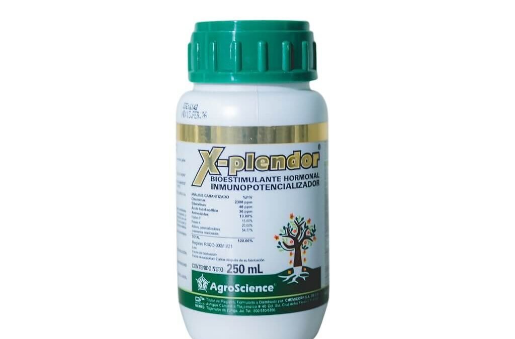 X-plendor-250ML