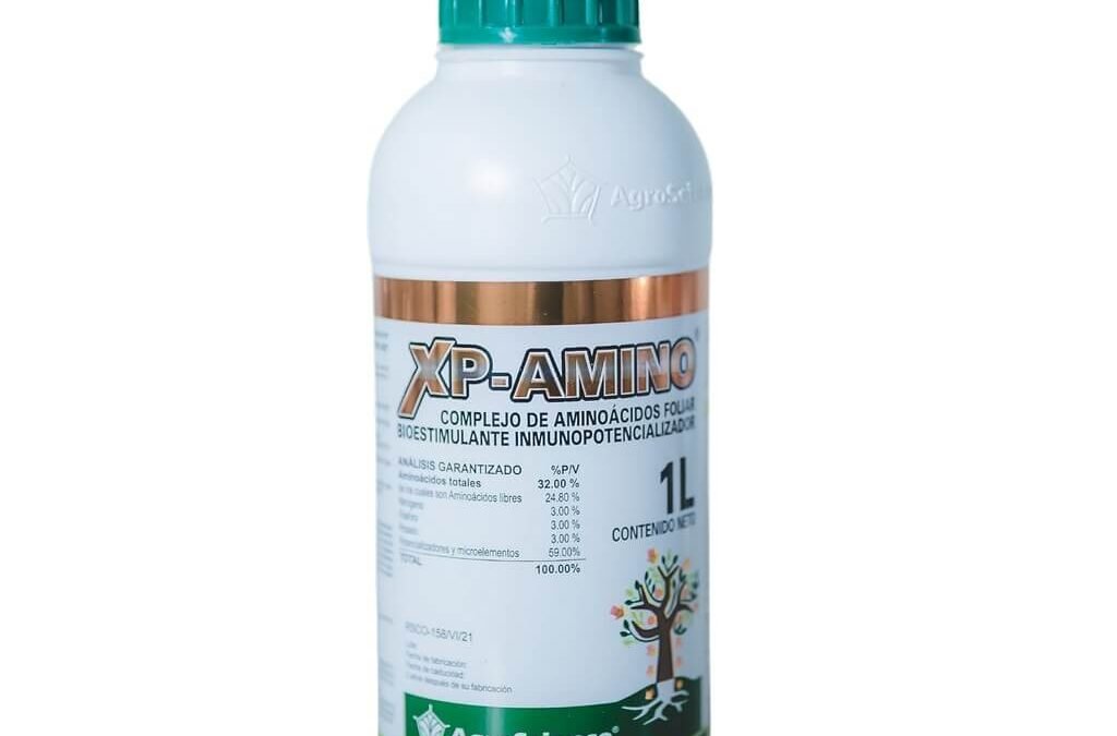 XP-AMINO 1LT